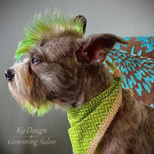 K9 Design Grooming Salon LLC