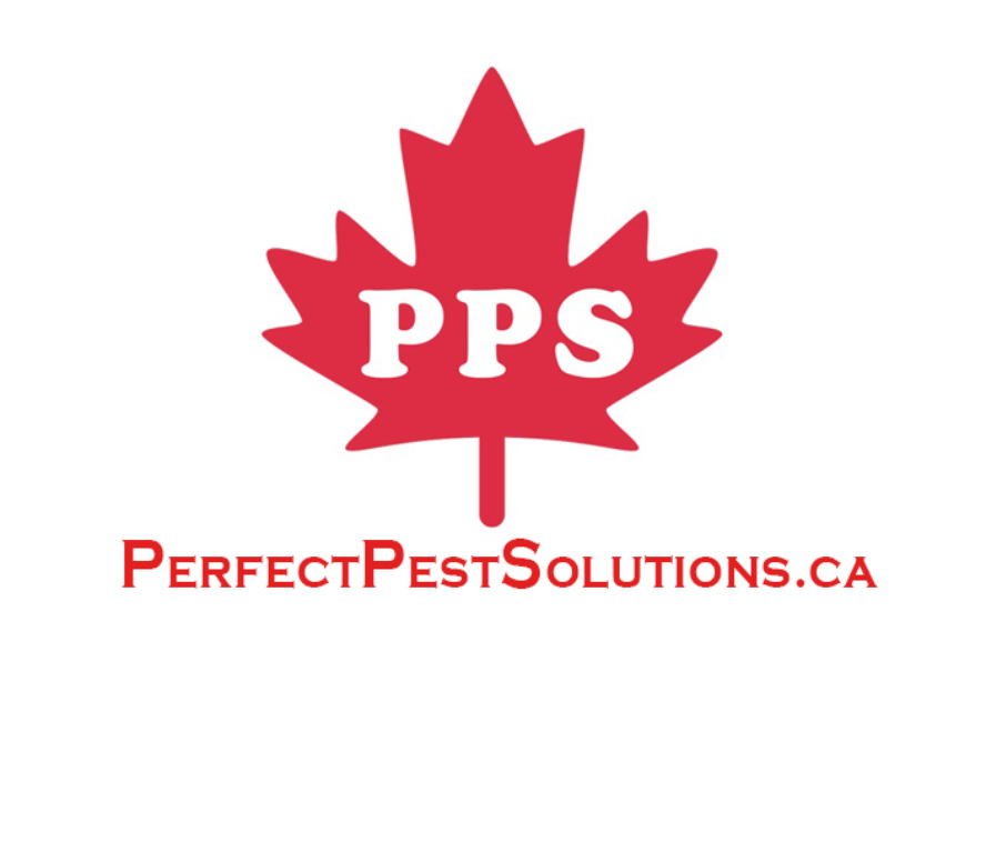 Perfect Pest Solutions Reviews