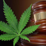 Cannabis Lawyers & Consultants Toronto Canada - Harrison Jordan Marijuana Law Firm