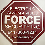 Force Security Inc