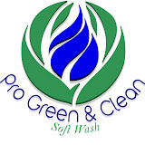 www.progreenclean242.com