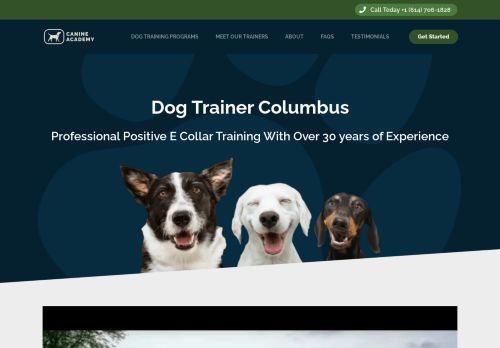 canineacademycolumbus.com