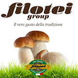 Filotei Group Srl