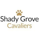 Shady Grove Cavaliers