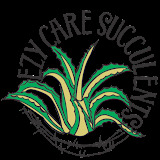 ezycaresucculents.com.au