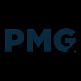 pesolamediagroup.com