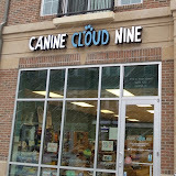 Canine Cloud Nine