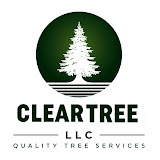 cleartreesolutions.com