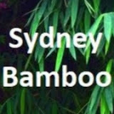 Sydney Bamboo