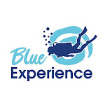 www.blueexperiencediving.com