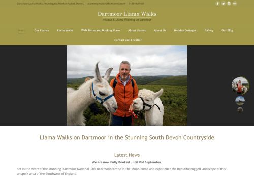 Dartmoor Llama Walks