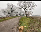 www.homefromhomesanctuary.co.uk