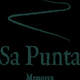 sapunta.linktelservices.com