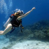 Manta Dive Phuket