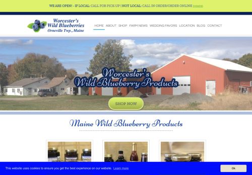 Worcester's Wild Blueberries