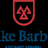 Maike Barbosa - Advocacia e Consultoria Criminal