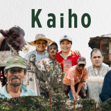 kaiho.com.co