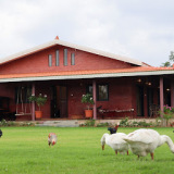 Unnati Farm