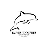 Rovinj Dolphin Excursion