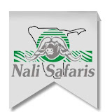 Nali Safaris Namibia