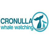 Cronulla Whale Watching