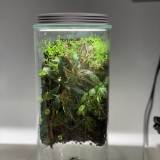 arium-website.vercel.app