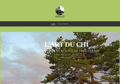 Tai Chi Chuan-Qi Gong Meylan