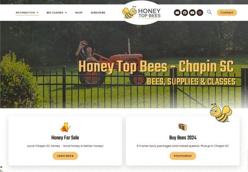Honey Top Bees
