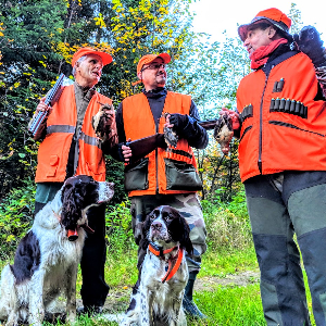 Élevage d'épagneul français French Spaniel breeder hunting guide