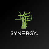 Studio Synergy Kielecka 1