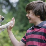 worldcarepestg.wpenginepowered.com