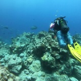 eden-blue-caledonia.local