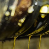 admin.shopify.com/store/8asisd-tq