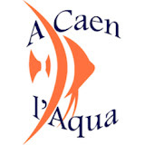 A Caen l'Aqua Reviews