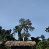 Tucan Eco-lodge