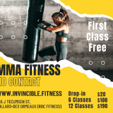 Invincible Fitness and Personal Training