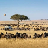 Micato Safaris
