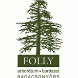 folly.hu