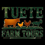 tuetefarmtours.com