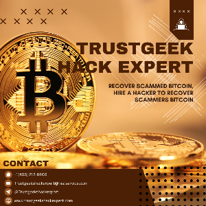 FAST AND CERTIFIED CRYPTOCURRENCY RECOVERY COMPANY// TRUST GEEKS HACK EXPERT