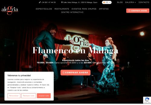 Flamenco Alegría en Málaga