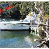 Cruise Te Anau