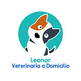 topveterinarios.com/leonor-veterinaria-a-domicilio/