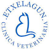 topveterinarios.com/clinica-veterinaria-etxelagun/