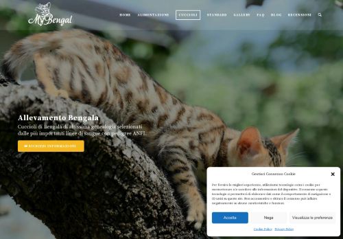 www.mybengals.it