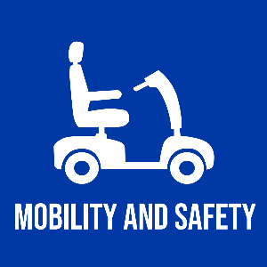 Mobility and Safety Reviews