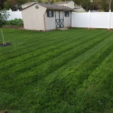 Terra Lawn Care Specialists