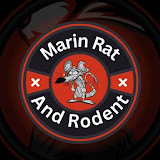 Marin Rat and Rodent