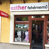 www.estherfehernemu.hu