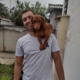 Adestrador de Cães e Gatos - Ben Adestrador